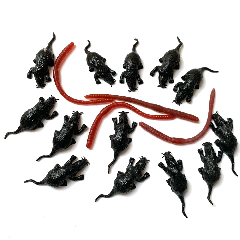 Stretchy Rats and Worms 🐀🪱 - Picture 2 of 2